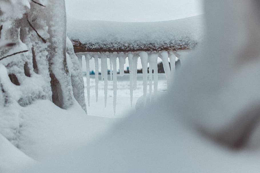 canada, goderich, winter, ice, tree, snow, frozen, cold temperature HD wallpaper