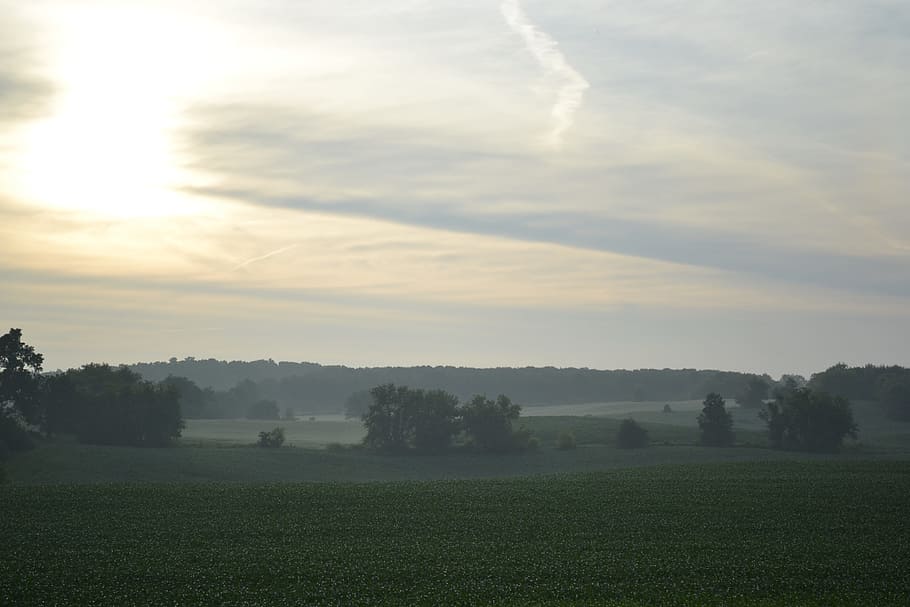 landscape, tree, nature, grass, horizon, cloud, sky, sun, fog HD wallpaper