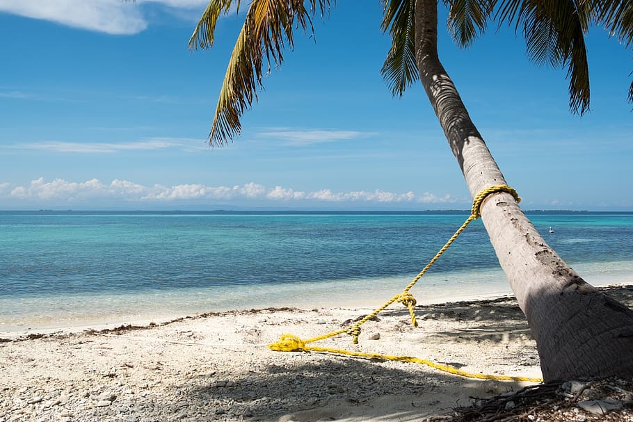 49 163 jogdíjmentes kép, stockfotó és stockkép Belize background témában |  Shutterstock