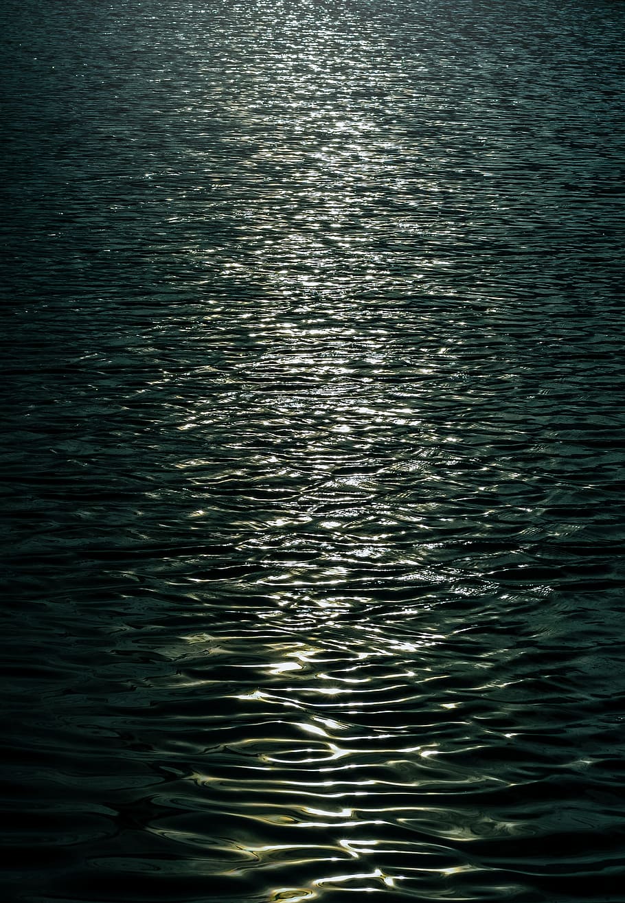 Photo of the Sea, background, ocean, reflection, ripples, river HD wallpaper