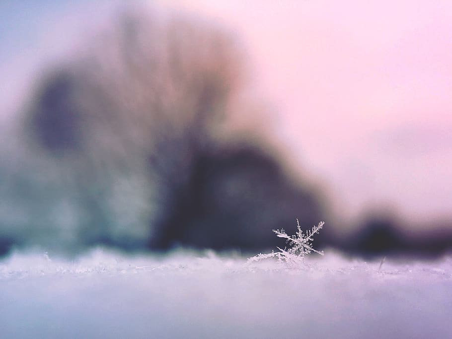 snowflake, ice, winter, ice crystal, olloclip, iphone 6s, macro, HD wallpaper