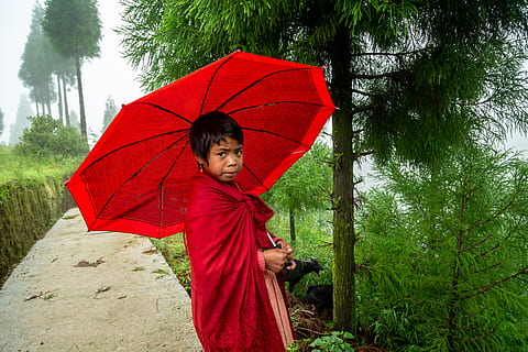 boy holding red umbrella, human, person, monk, tent, plant, tree HD wallpaper
