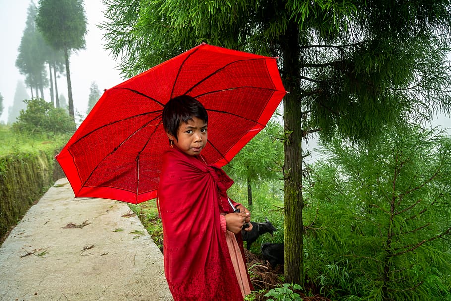 boy holding red umbrella, human, person, monk, tent, plant, tree, HD wallpaper