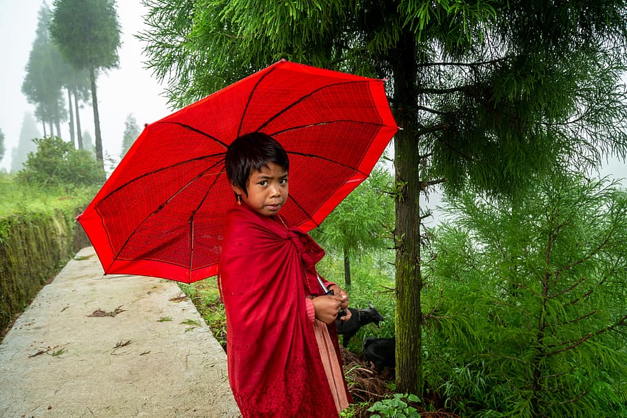 boy holding red umbrella, human, person, monk, tent, plant, tree HD wallpaper