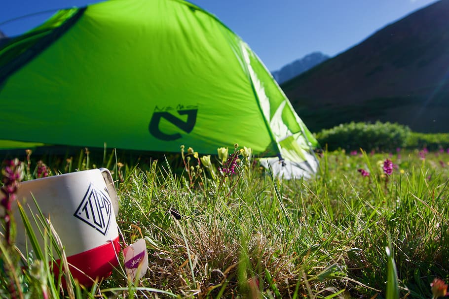 green tent, plant, green color, grass, field, nature, day, mountain HD wallpaper