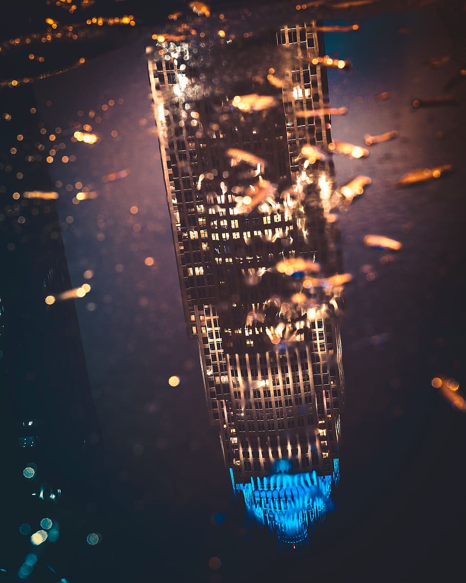 building during nighttime, lighting, metropolis, town, urban HD wallpaper