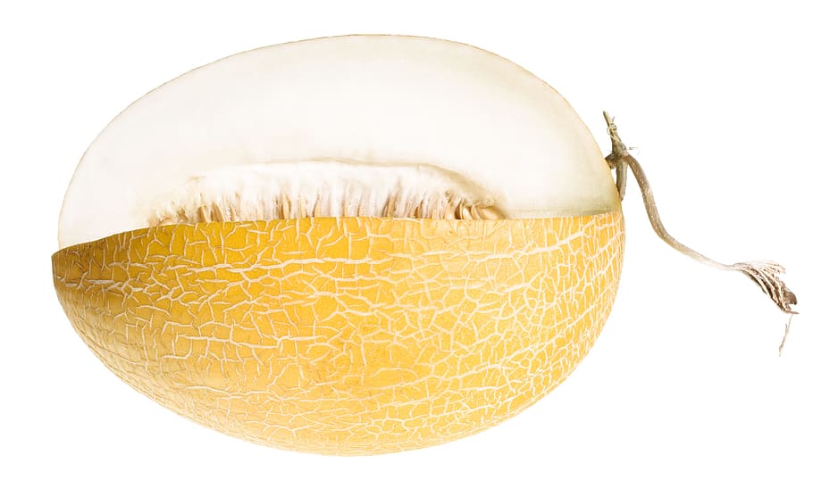 melon, close-up, closeup, diet, dieting, eating, food, fresh HD wallpaper