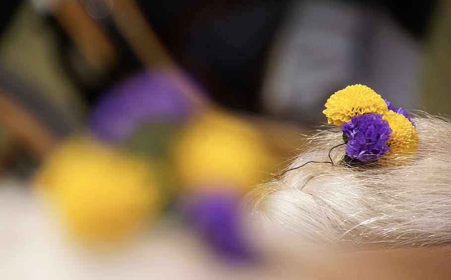 color, colors, flowers, braid, hair, nature, colorful, yellow HD wallpaper