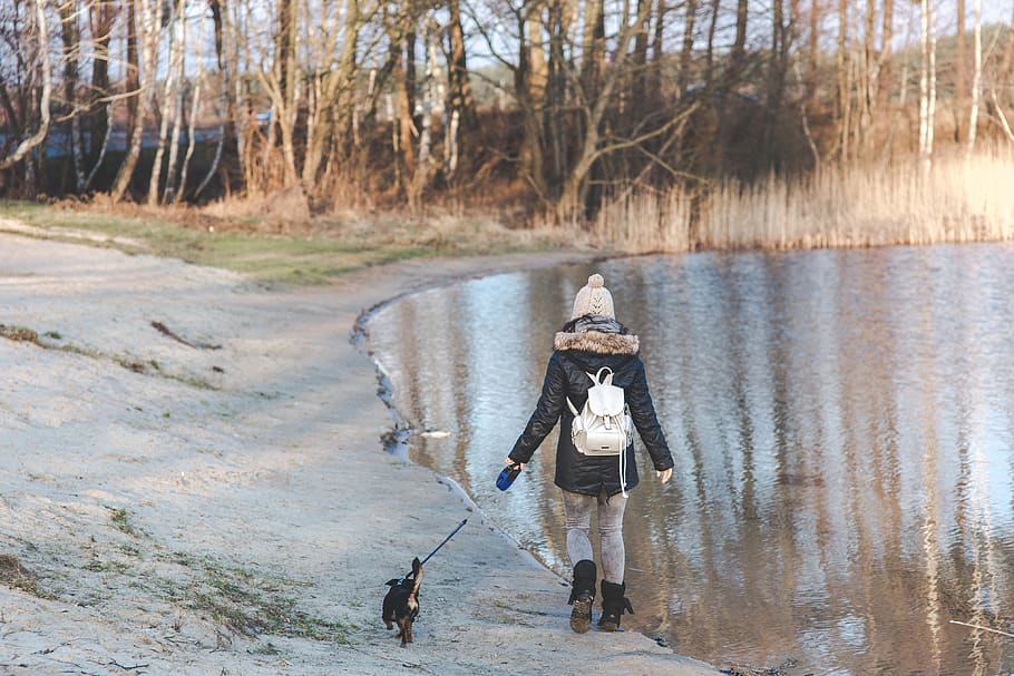 Young woman walking with her dog on the beach, animal, back, backpack HD wallpaper
