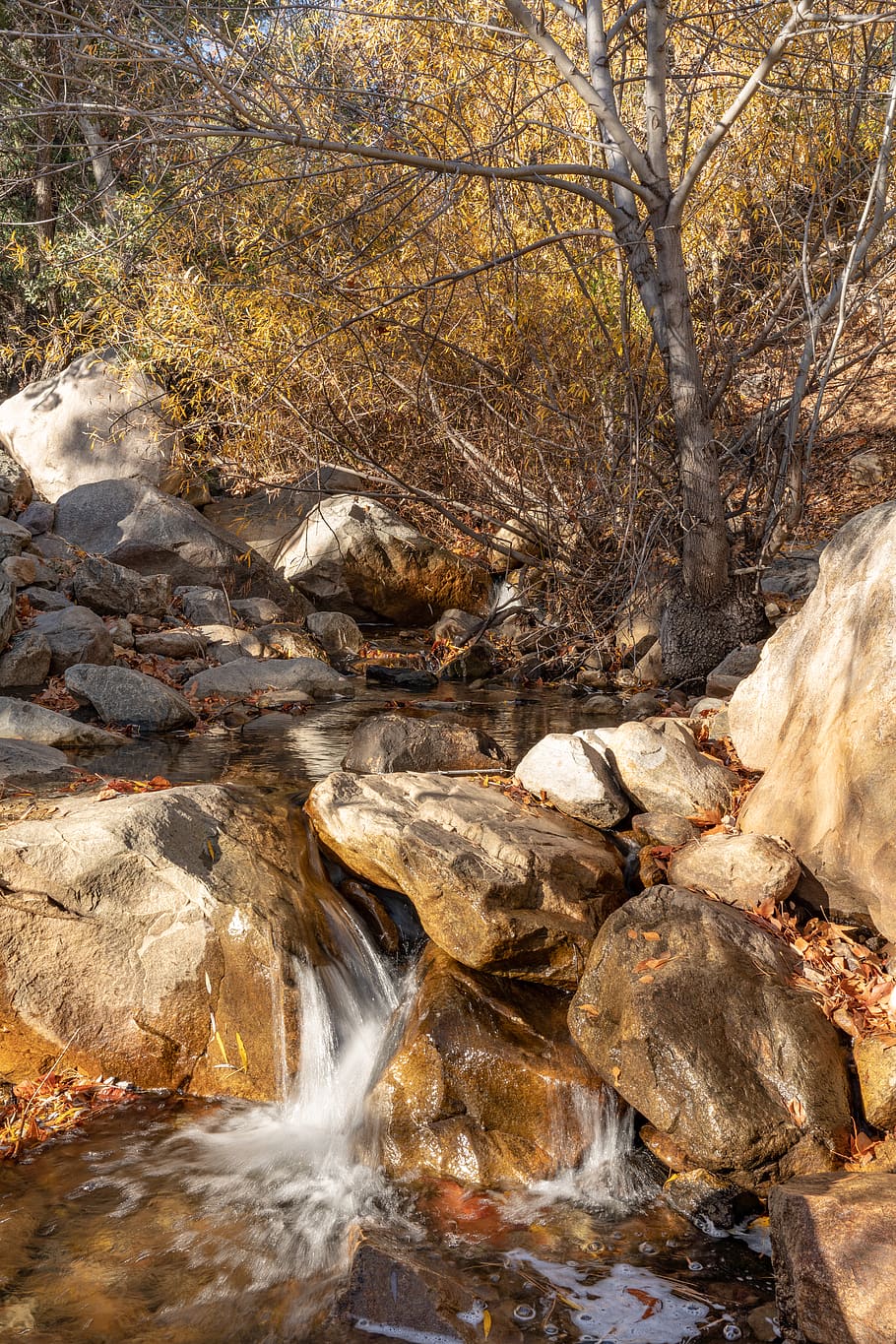 us, safford, mt graham, fall, colors, Creak, mountain, flow HD wallpaper