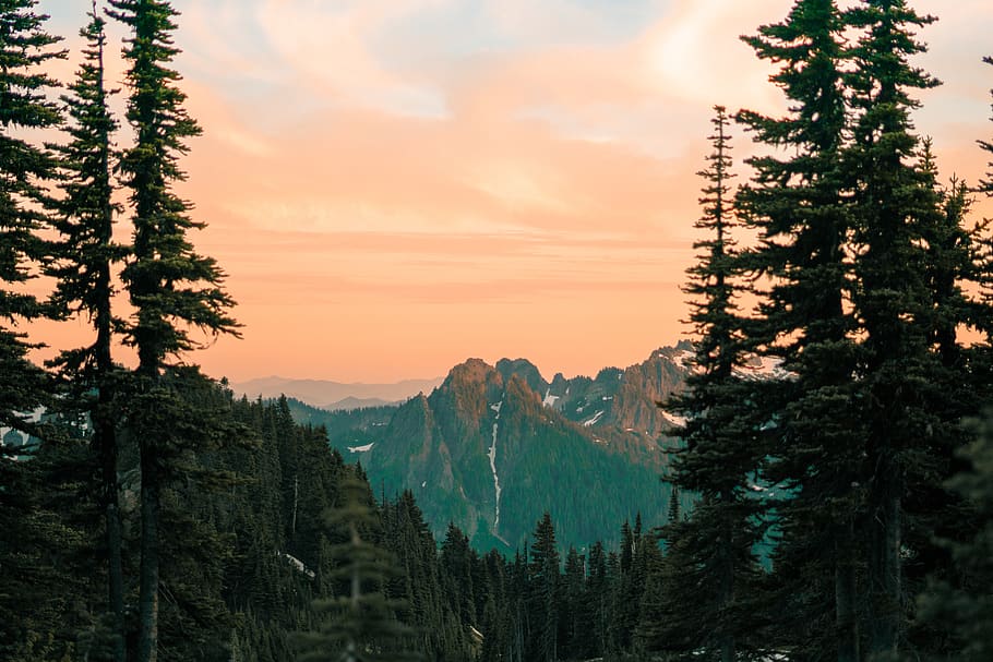 green trees, sky, mountain, sunset, beauty in nature, tranquil scene HD wallpaper