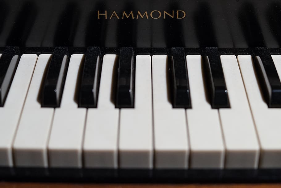 keys, piano, organ, black, white, keyboard, hammond, music, HD wallpaper