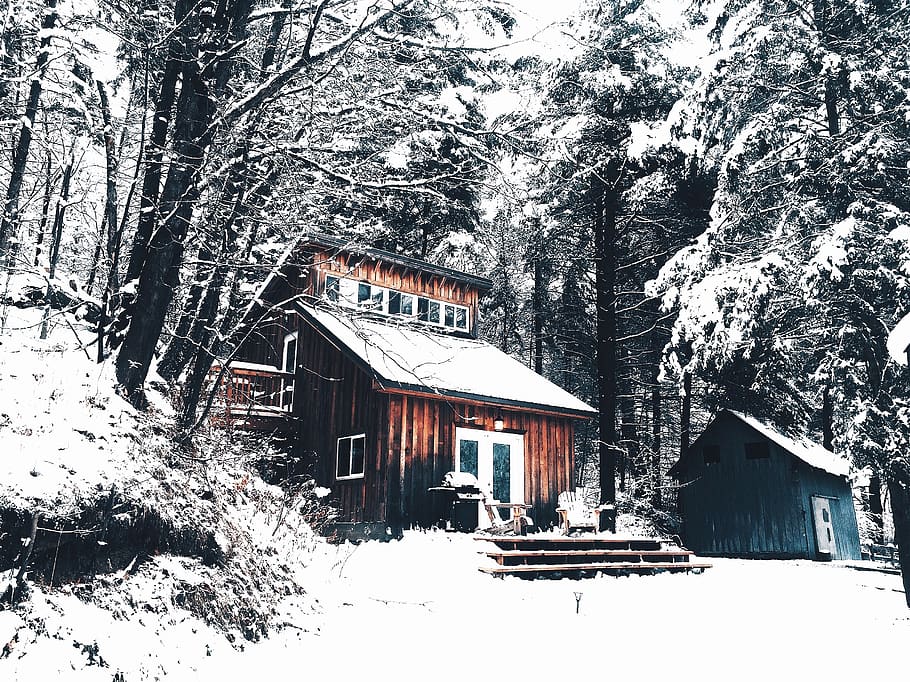 cabin, snow, forest, winter, nature, landscape, cottage, outdoor HD wallpaper