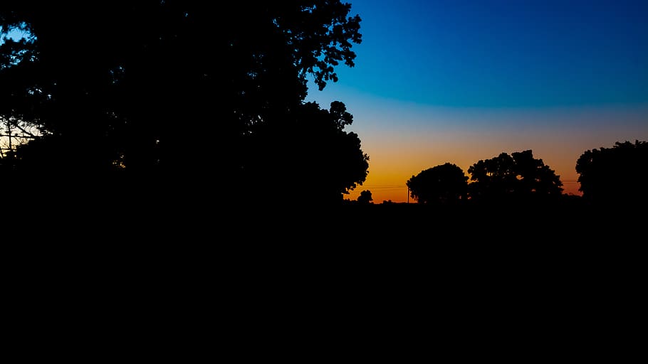 sunset, trees, blue sky, night, photography, silhouette, plant HD wallpaper