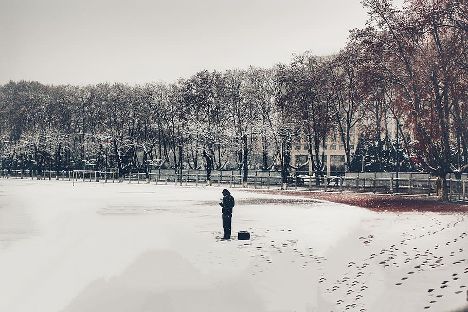 tree, plant, snow, one person, cold temperature, winter, real people HD wallpaper
