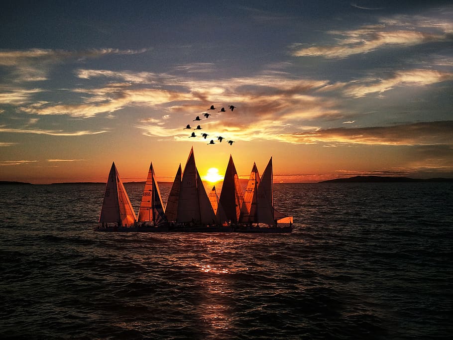 Sailboats Sailing on Sea during Sunset, beach, blue sky, dawn HD wallpaper