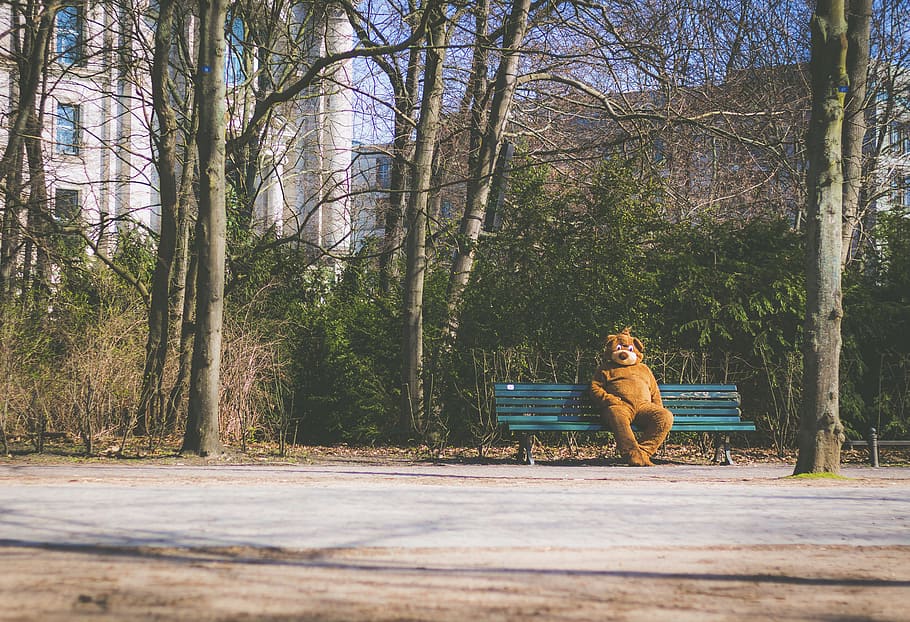 mascot, alone, bear, bench, chair, park, woods, forest, sad HD wallpaper