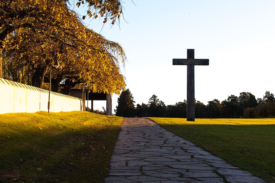graveyard, church, road, tree, trees, plant, religion, belief HD wallpaper