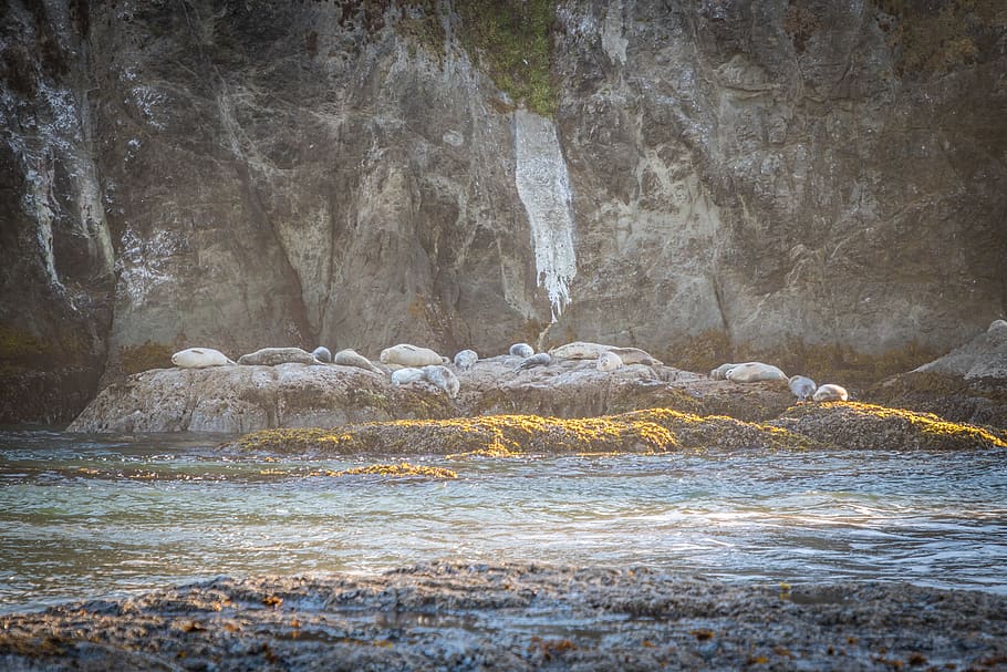 gray abstract painting, bandon beach, united states, stream, creek, HD wallpaper