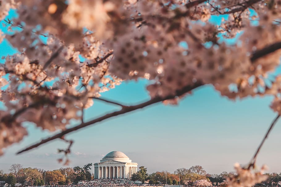 white concrete dome building, building exterior, architecture HD wallpaper