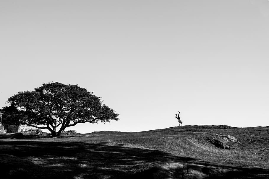handstand, gravity, fun, tree, sky, plant, nature, land, one person HD wallpaper