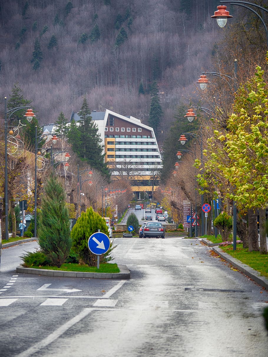 sinaia, romania, street, mountains, hotel, cars, autumn, transportation, HD wallpaper