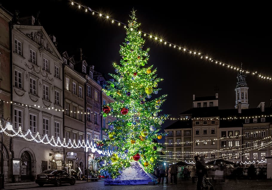christmas tree, city, the market, warsaw, decoration, holidays, HD wallpaper