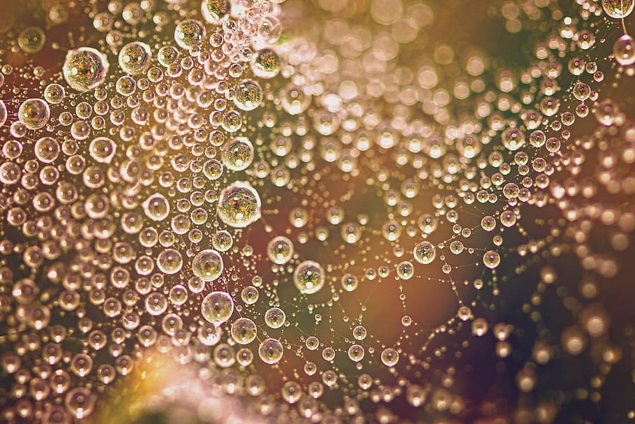 Water Splash Vector Art, cobweb, spider web, spiderweb, waterdrops HD wallpaper