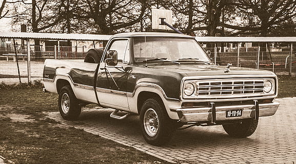 single can pickup truck, vehicle, transportation, car, urban HD wallpaper