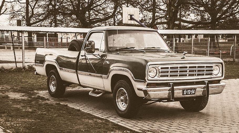 single can pickup truck, vehicle, transportation, car, urban HD wallpaper