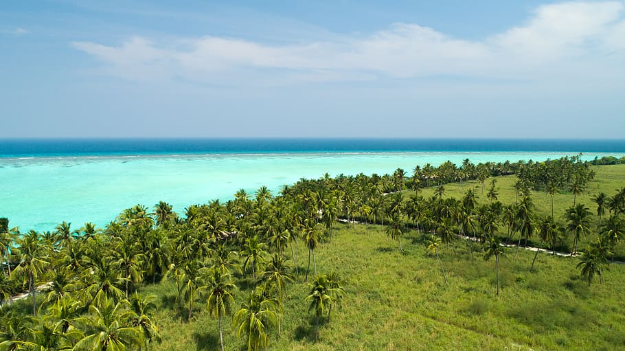 maldives, thoddoo, vaau magu, sky, scenics - nature, sea, water, HD wallpaper