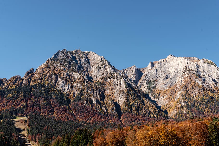 rocky mountains surrounded with trees, outdoors, mountain range HD wallpaper