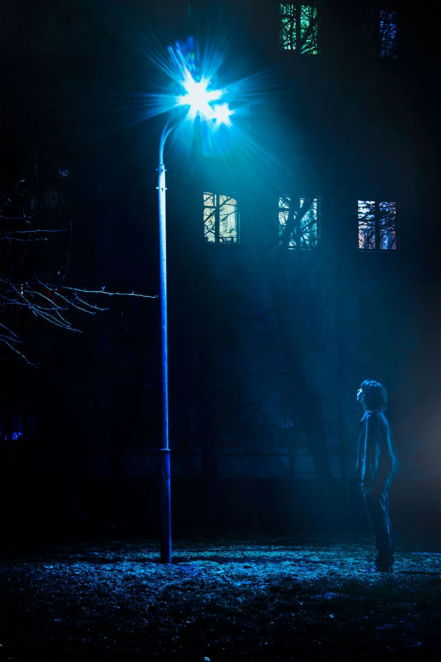 Man Standing in Front of Street Light Turned on, dark, night HD wallpaper
