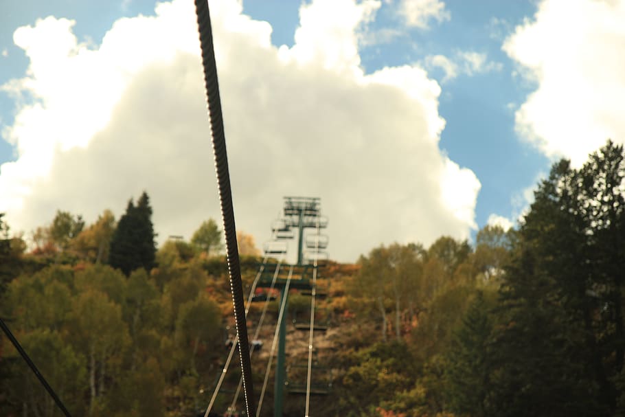 cloud - sky, plant, tree, day, nature, no people, outdoors HD wallpaper