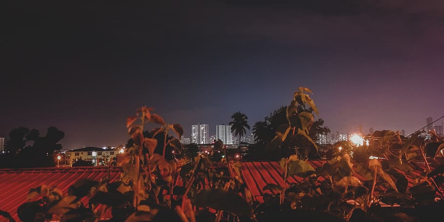 sky, panama, view, wallpaper, dark, building, town, plants HD wallpaper