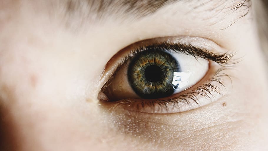 right human eye, body part, eyesight, close-up, human body part HD wallpaper