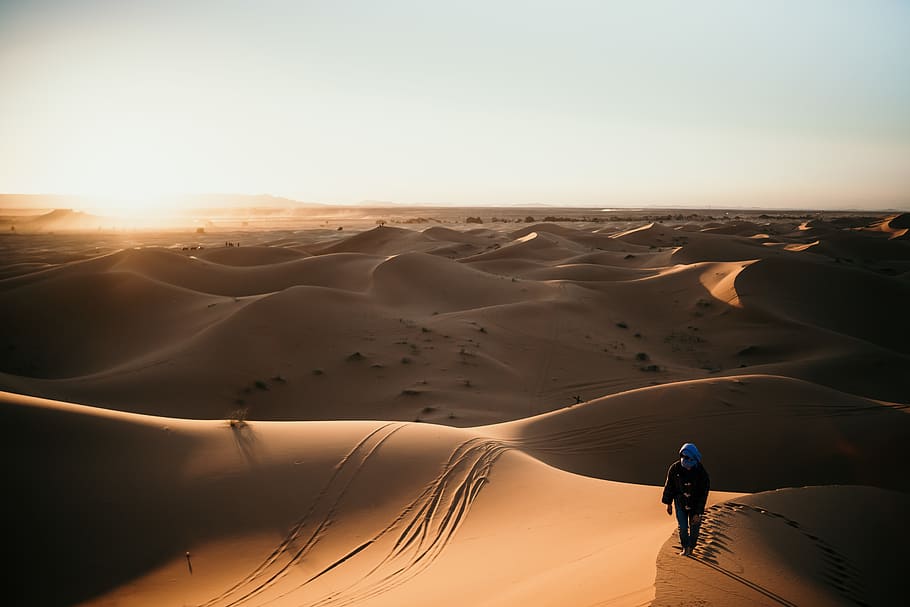 person walking on desert, sky, scenics - nature, real people HD wallpaper