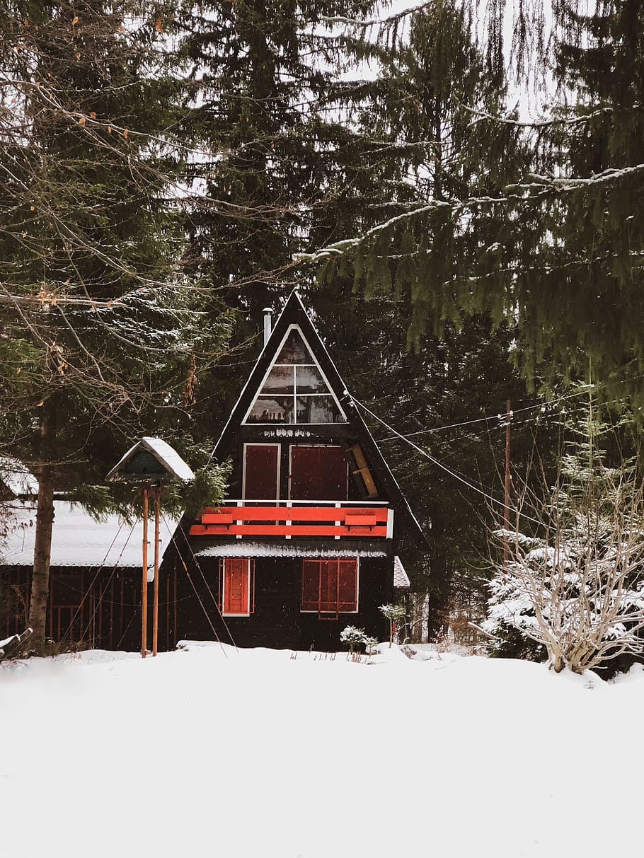 black house surrounded by trees, abies, plant, fir, building HD wallpaper