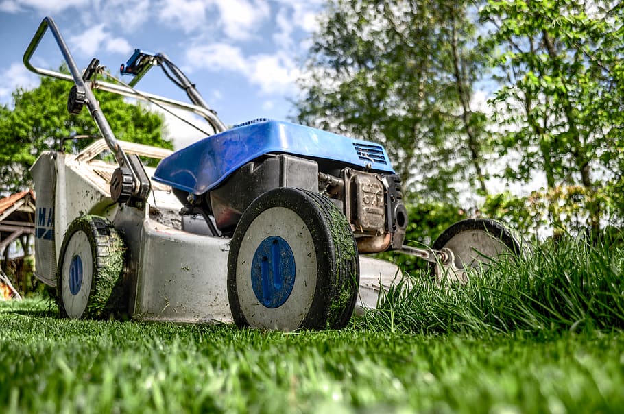 White Push Lawnmower, garden, gardening, grass, green, lawn mower, HD wallpaper