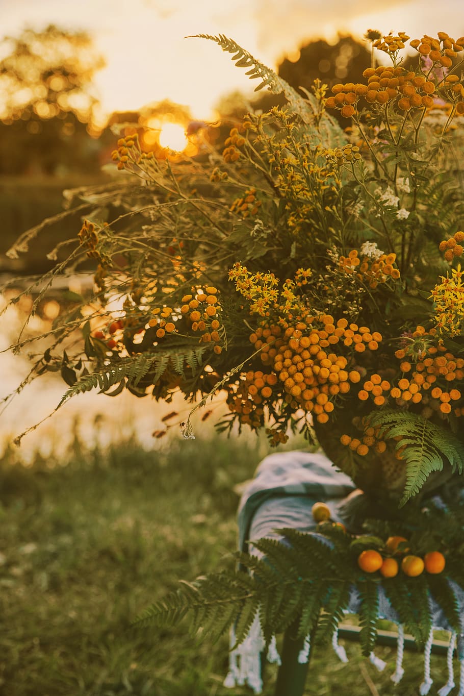 yellow petaled flower, plant, blossom, latvia, flower arrangement HD wallpaper