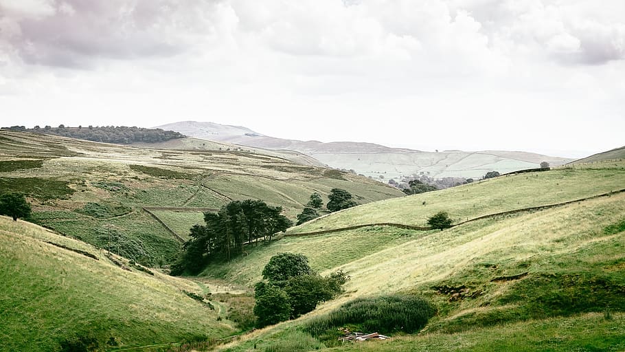 scenery, landscape, meadow, grass, greenery, panorama, outdoors HD wallpaper