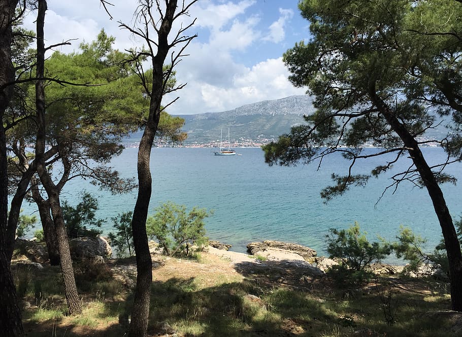 croatia, split, park marjan, sailing, water, woodland, trees HD wallpaper