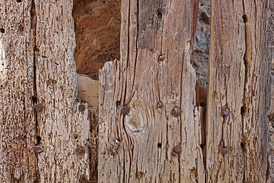 old wood, antique wood, background, wood worm, gate, old door, HD wallpaper