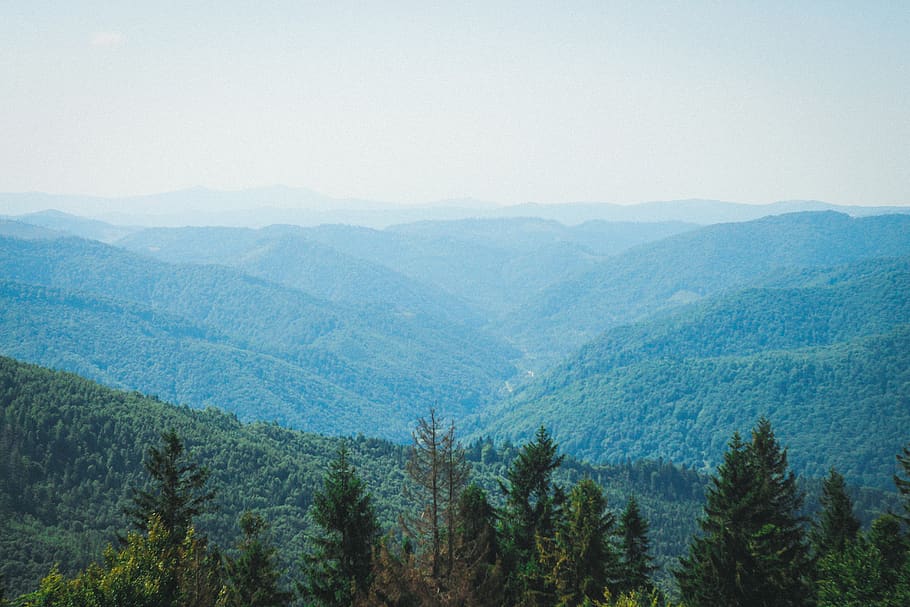 mountains, forest, landscape, nature, trees, sky, scenics - nature HD wallpaper