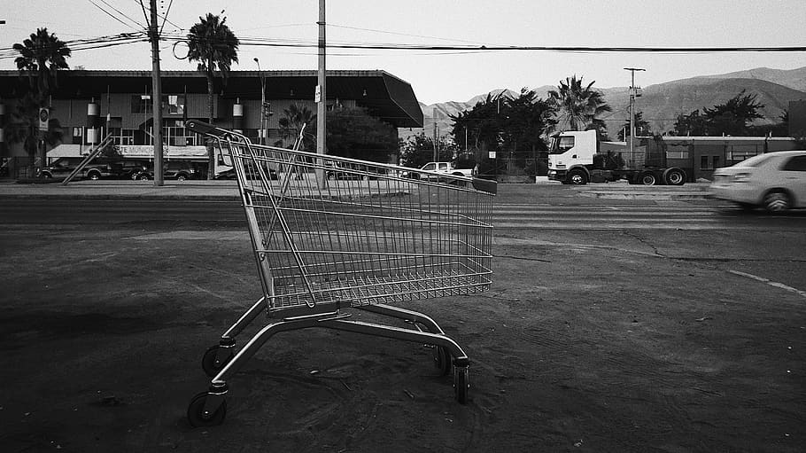 gray shopping cart, tree, city, built structure, day, architecture HD wallpaper