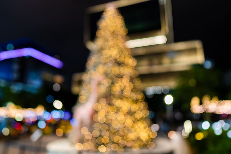 lighted Christmas tree, taiwan, plant, lighting, taipei, christmas tree at taipei 101, HD wallpaper