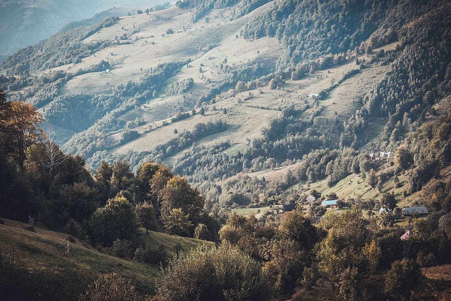 Green Mountain With Trees, daylight, environment, hill, landscape HD wallpaper
