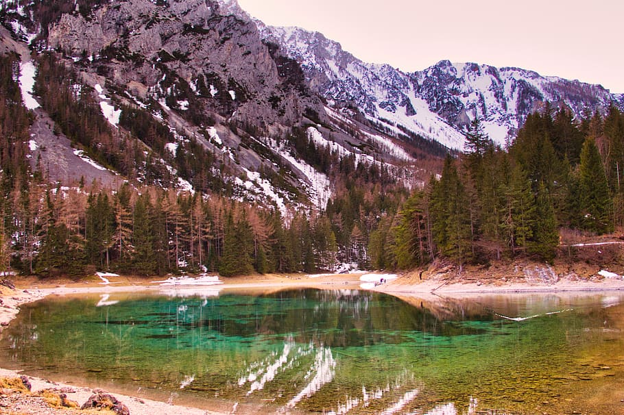 grünersee, styria, walk, nature, mood, away, trees, forest path HD wallpaper