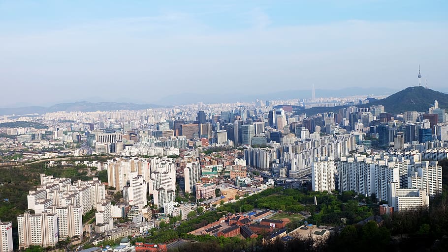 south korea, seoul, city, city hall, summer, mountain, 서울