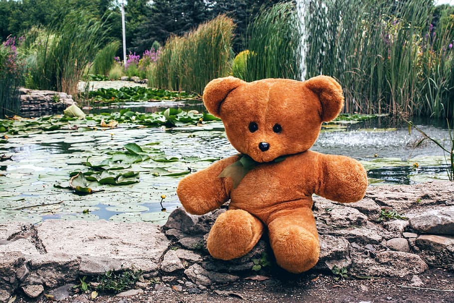 bear, teddy, toy, soft, childhood, sitting, pond, outdoors HD wallpaper